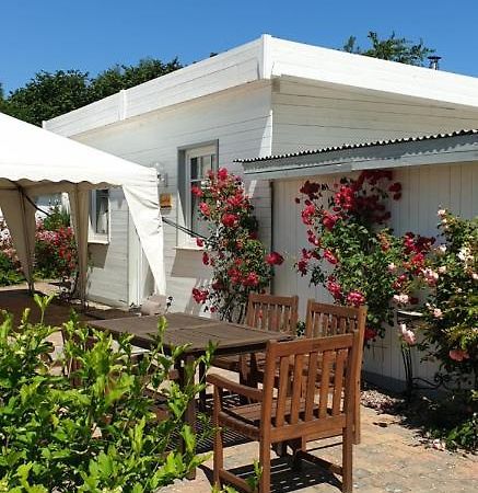Ferienbungalow Haus Am Teich Boltenhagen  Extérieur photo