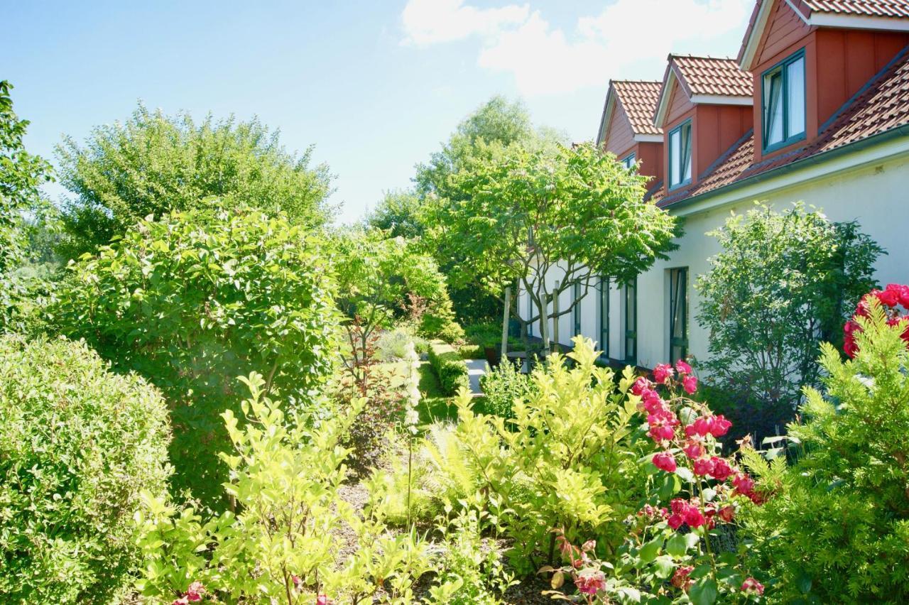 Ferienbungalow Haus Am Teich Boltenhagen  Extérieur photo
