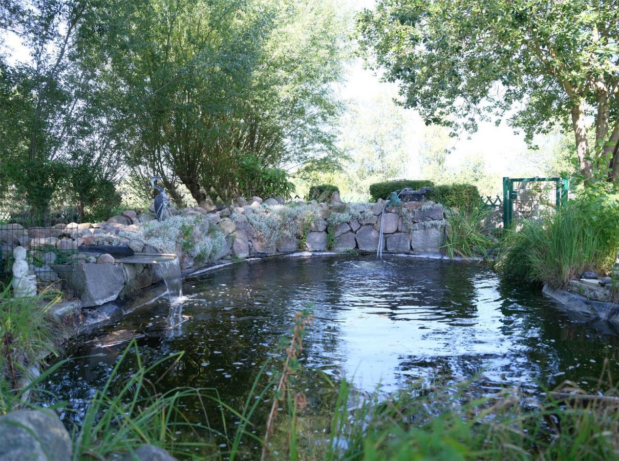 Ferienbungalow Haus Am Teich Boltenhagen  Extérieur photo
